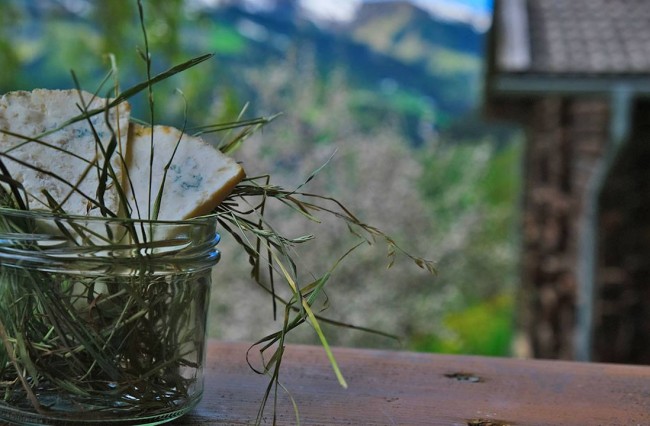 Großarler Sauerkäse