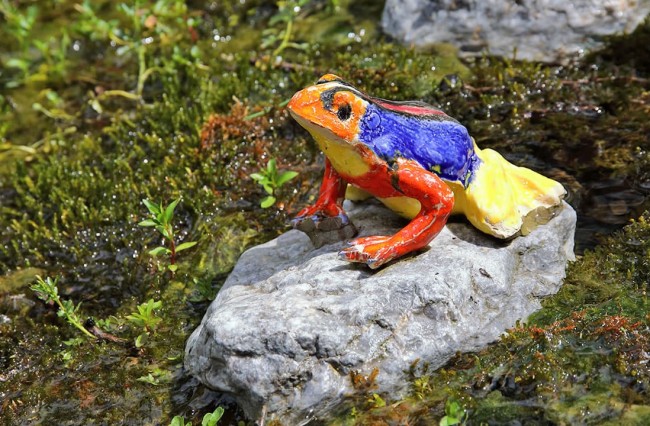 Buntbemalter Keramikfrosch